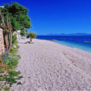 Φωτογραφία από το άλμπουμ του APARTMANI NOVA σε Zivogosce