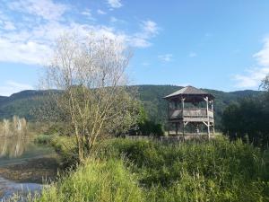 Príroda v okolí apartmánu
