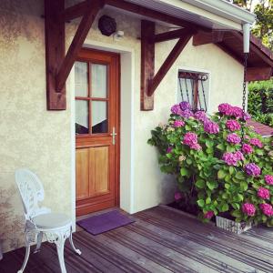 Zahrada ubytování Les Arums de Sanguinet