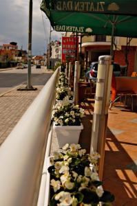 Gallery image of Villa Rimari in Ohrid