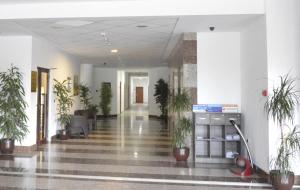 un couloir avec des plantes en pot dans un bâtiment dans l'établissement VIVA Flora apartment 607A, à Borovets