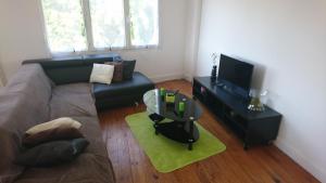 sala de estar con sofá y TV en appartement de 79 m² à 500 mètres de la cure, en Jonzac