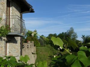A garden outside Buchere Ville