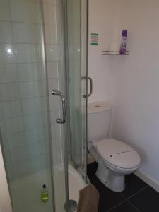 A bathroom at Swandale Guest House 