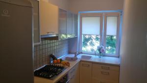 Kuchyňa alebo kuchynka v ubytovaní Rent0nline Hoża Apartment Center Metro