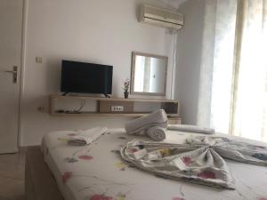 TV a/nebo společenská místnost v ubytování Apartments Adrian
