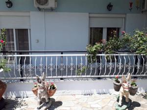Balkón nebo terasa v ubytování POPI 'S HOME