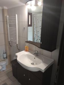 łazienka z umywalką i lustrem w obiekcie Fotini's Apartment w mieście Néa Péramos