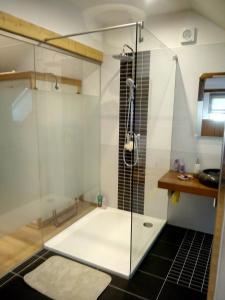 a shower with a glass door in a bathroom at Podkroví s koupelnou in Svinařov