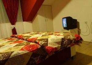 une chambre avec un lit et une télévision au mur dans l'établissement Apartman Ivana Ića, à Sokobanja