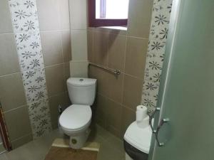 Elle comprend une petite salle de bains pourvue de toilettes et d'une fenêtre. dans l'établissement Apartman Ivana Ića, à Sokobanja 7 autres photos
