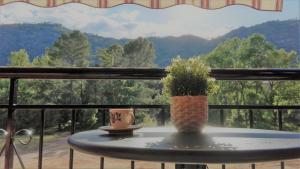 Ảnh trong thư viện ảnh của EL JABALÍ CONTENTO ở Arroyo Frio