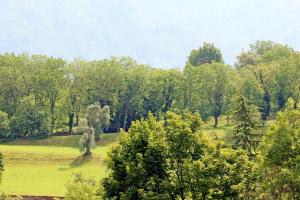 a green field with trees in the background at B&B I LAKE IT BELLAGIO in Bellagio