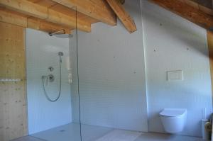 Koupelna v ubytování Ferienwohnung Reichart + 22 fotografií