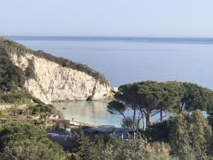 a view of a beach with trees and the ocean at Hotel Acquamarina in Portoferraio