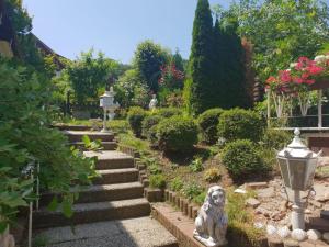 a garden with a dog sitting on the steps at 6 Schulstraße in Bieber