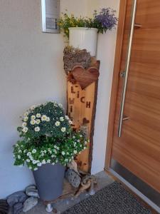 Foto dalla galleria di s'Peaters a Imsterberg
