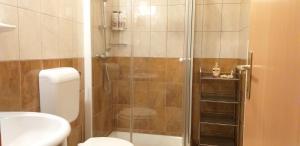 a bathroom with a shower with a toilet and a sink at Apartments Vita Center in Rogaška Slatina