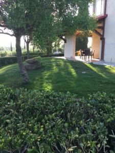 a yard with a tree and a house at Agriturismo Il Poggiolo in Grosseto
