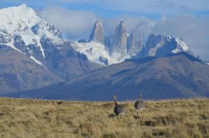 Gallery image of Hostería Tercera Barranca in Torres del Paine