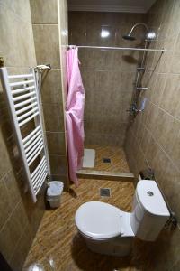 a bathroom with a toilet and a shower at Apartmani Timm in Plav