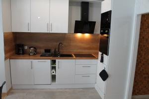 Kuchyň nebo kuchyňský kout v ubytování Dream Apartment + 1 fotografie