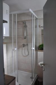 una ducha con puerta de cristal en un baño en Vas Lipa 7 -30, en Podčetrtek 10 fotos más