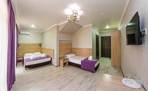 ヴィチャゼヴォにあるSilver Guest Houseのベッド2台とテレビが備わるホテルルームです。