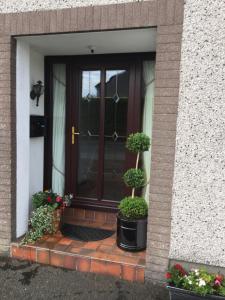 a front door of a house with two potted plants at Rondo, Ballymena, Nr Ireland in Ballymena