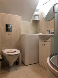 a bathroom with a toilet and a sink at Trakai Old town Apartment in Trakai