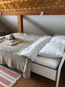 a bed with a blanket and a dog sitting on it at Trakai Old town Apartment in Trakai