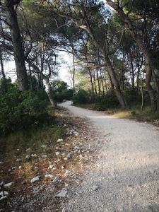 Gallery image of Hvar-Pakleni islands- isolated Robinson House Moj Mir in Hvar