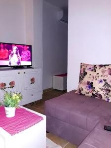 een woonkamer met een bank en een flatscreen-tv bij Apartman Tatjana in Sutomore