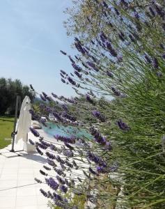 A garden outside La cicala stonata