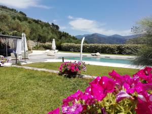 The swimming pool at or close to La cicala stonata