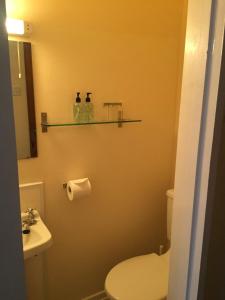 a bathroom with a white toilet and a sink at Marlow Lodge in Blackpool