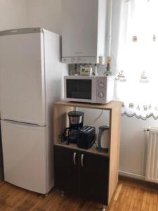 a kitchen with a refrigerator and a microwave at CASA ALISE-LUISE in Braşov