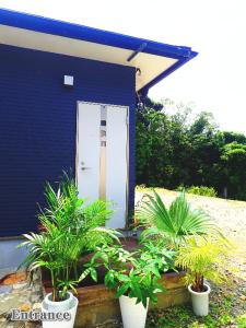 a blue building with plants in front of a door at Yakushima Cottage Kukai in Yakushima