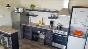 uma pequena cozinha com pia e geladeira em A Wave From it All em Port Saunders
