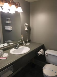 a bathroom with a sink and a toilet and a mirror at Seawinds Motel & Cottages in Digby