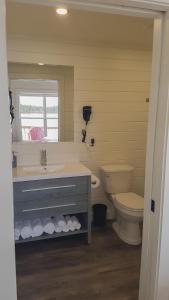 a bathroom with a sink and a toilet and a mirror at A Wave From it All in Port Saunders