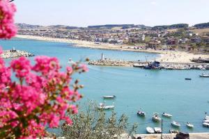 - une vue sur une plage avec des bateaux dans l'eau dans l'établissement istanbul Airport Kumsal Otel, à Arnavutköy