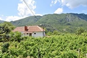 Billede fra billedgalleriet på Rooms Sveti Toma i Virpazar + 38 billeder