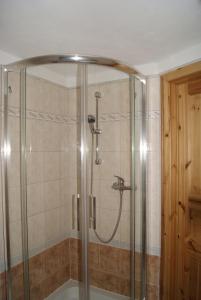 een douche met een glazen omhulsel in een badkamer bij Wohnen Im Topf in Quedlinburg +14 foto's