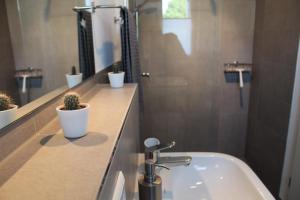 ein Badezimmer mit einem Waschbecken und Topfpflanzen auf einer Theke in der Unterkunft Ferienwohnung Schmiedeglück in Bad Krozingen