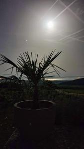 Fotografie z fotogalerie ubytování Panorama, Balaton v destinaci Dörgicse