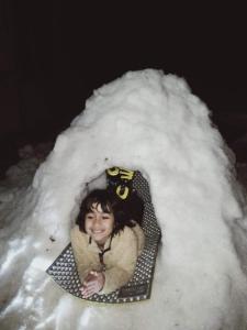 Billede fra billedgalleriet på DreamLand Home stay (JALORI PASS) i Shoja