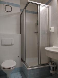 a bathroom with a shower and a toilet and a sink at Apartmany JaJ-Bavorsko in Mitterfirmiansreut