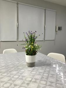 Φωτογραφία από το άλμπουμ του Platinum Apart σε Βιέδμα