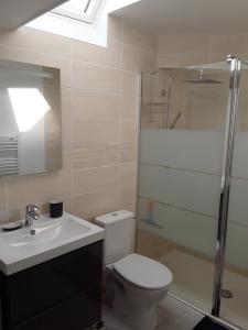 ein Bad mit einem WC, einem Waschbecken und einer Dusche in der Unterkunft Le Gîte Dameryat in Damery